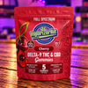 VaporizerHut 8mg THC & 280mg CBD Gummies Per Gummy – 5 Pack – Channel Islands Only