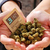 Boveda 62% RH 2-Way Humidity Control Packs