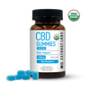 Extract Labs THC Free CBD Gummies – Daily Support – Blue Raspberry (1500mg)