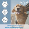 Extract Labs Organic Fetch Calming Hemp Bites CBD for Dogs - UK