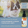 Extract Labs Organic Fetch Tincture CBD Oil For Pets - UK