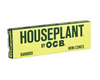 Houseplant by OCB Bamboo Cones | Mini | 8pc