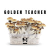 Golden Teacher Mycelium Culture Kit (1200cc) – UK